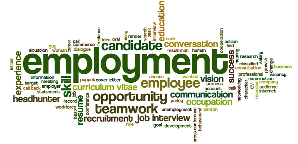 Other Employment Permit Types